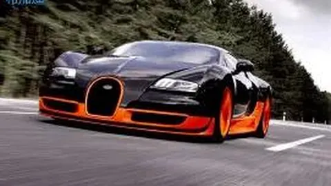 双十一晚会收视榜单揭晓 江苏卫视夺魁