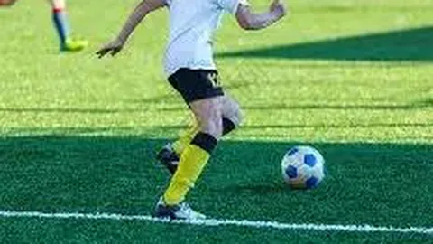 开云体育app入口 产品 092232 xza