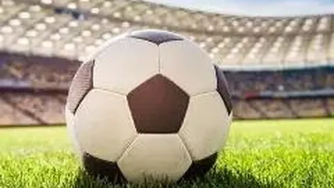 2025河南体育学院河南各专业招生情况及录取分数一览（含招生计划表）