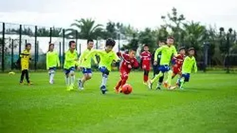 开云体育app入口 资讯 092847 0c3