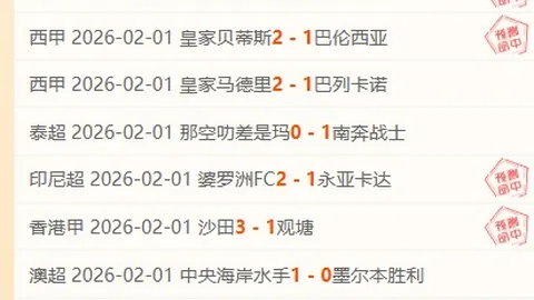 河南镇政府工作失误泄露6000农民个人信息，官方承认系疏忽所致