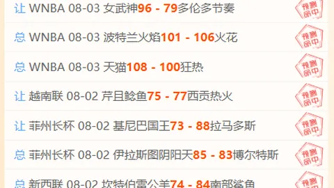 开云体育入口 132831 5