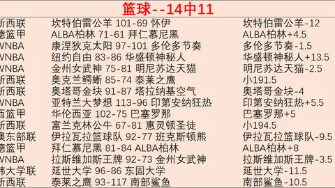 开云体育入口 135545 6
